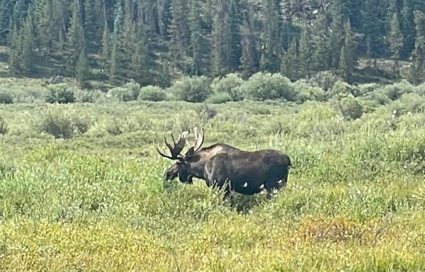 19D2F9E5-276C-4A77-BBDD-2365BDA990F9